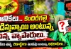 తూనీకలు… కందిరీగలై పీడిస్తున్నాయా?