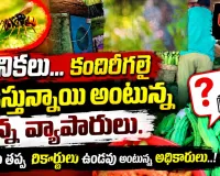 తూనీకలు… కందిరీగలై పీడిస్తున్నాయా?